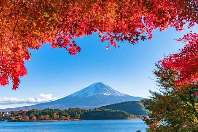 Mount Fuji Day Tour by Chartered Car - Who Will Love This Tour?