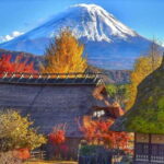Mount Fuji Day Tour:Scenic Lakes,Village, Pagoda,Oshino Hakkai - Practical Details and Tips