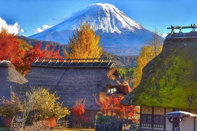 Mount Fuji Day Tour:Scenic Lakes,Village, Pagoda,Oshino Hakkai - Practical Details and Tips