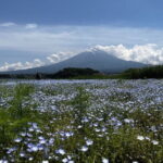 Mount Fuji Day Trip Around Lake Kawaguchiko - What the Tour Includes and Excludes