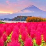 Mount Fuji Day Trip from Tokyo with Scenic Views - Who This Tour Is Perfect For