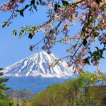 Mount Fuji Full-Day Private Tour from Tokyo (Customizable) - What’s Included and What to Consider