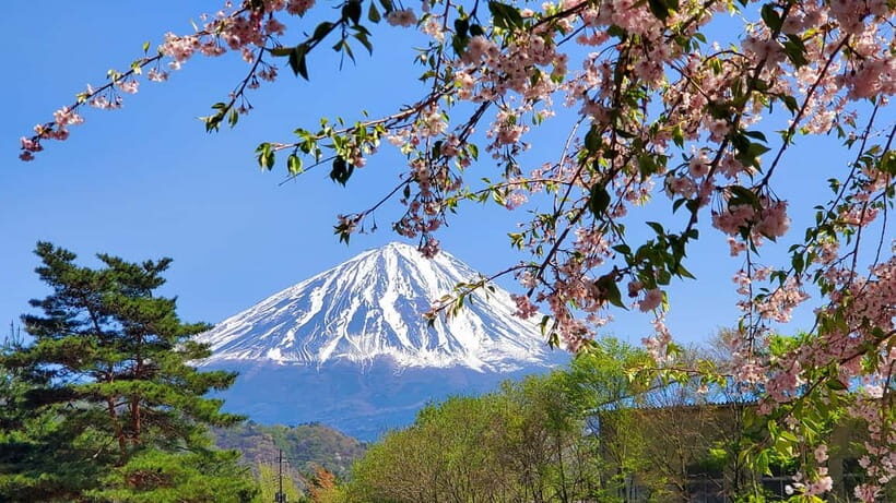 Mount Fuji Full-Day Private Tour from Tokyo (Customizable) - What’s Included and What to Consider