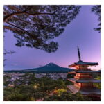 Mount Fuji Full Day Private Tour from Tokyo Full Customized - An In-Depth Look at What the Tour Offers