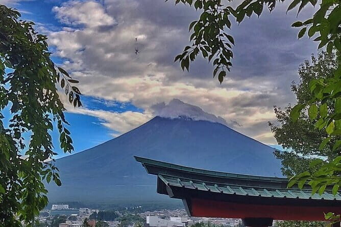 Mount Fuji Full Day Private Tour with English Speaking Driver - Final Thoughts: Who Will Love This Tour?
