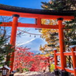 Mount Fuji Full Day Sightseeing Tour from Tokyo - Who Would Love This Tour?