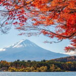 Mount Fuji Full Day Tour form Tokyo Lake Kawaguchi & Yamanaka - Authentic Experiences and Practical Insights