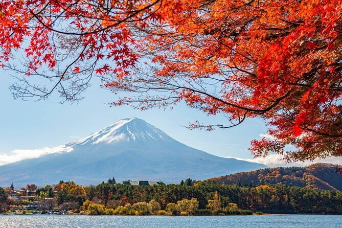 Mount Fuji Full Day Tour form Tokyo Lake Kawaguchi & Yamanaka - Authentic Experiences and Practical Insights