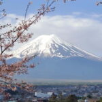 Mount Fuji & Hakone Full-Day Private Tour (Customizable) - What Travelers Say