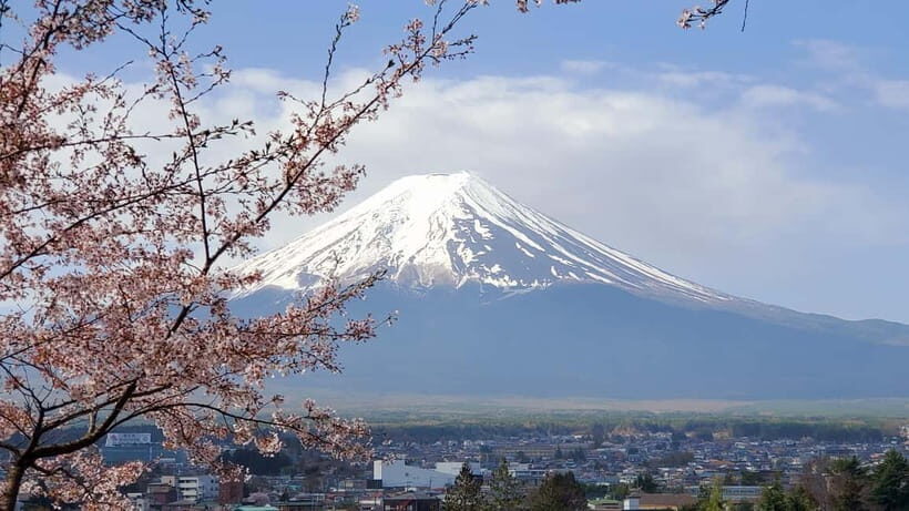 Mount Fuji & Hakone Full-Day Private Tour (Customizable) - What Travelers Say