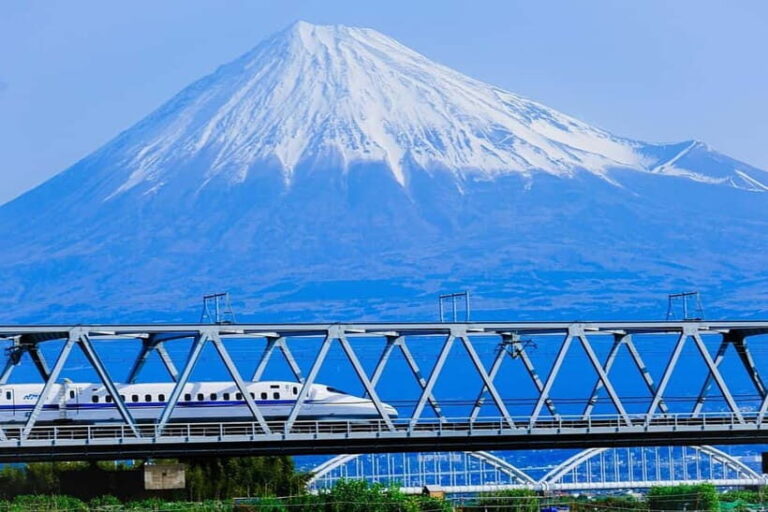 Mount Fuji & Hakone Private Tour with Bullet Train Return - A Closer Look at the Experience