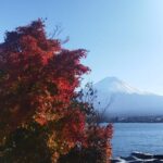 Mount Fuji-Lake Kawaguchi Private Tour with Bilingual Driver - Who Will Love This Tour?
