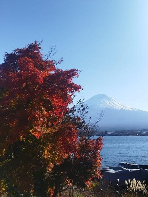 Mount Fuji-Lake Kawaguchi Private Tour with Bilingual Driver - Who Will Love This Tour?