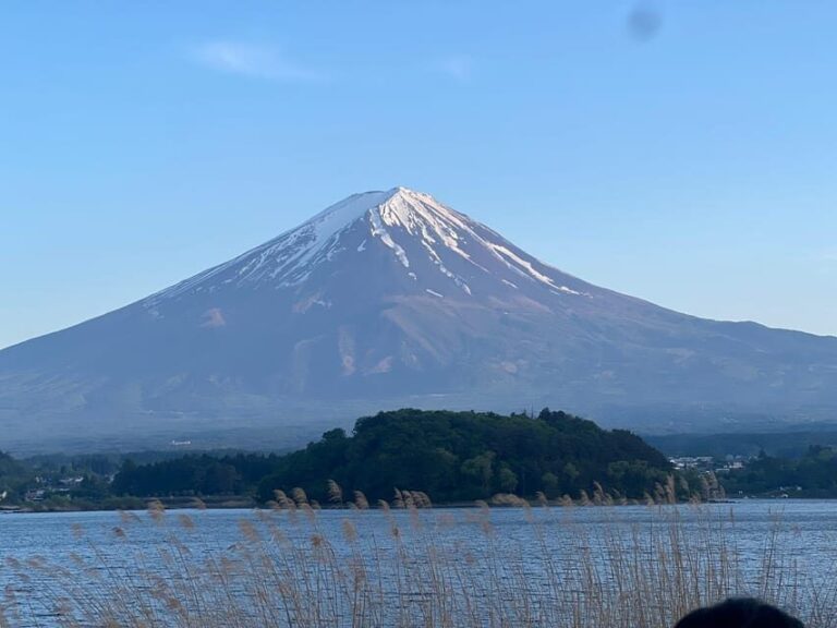 Mount Fuji Private Tour With English Speaking Driver/Guide - The Practical Side: What You’ll Get and What You Might Want to Consider