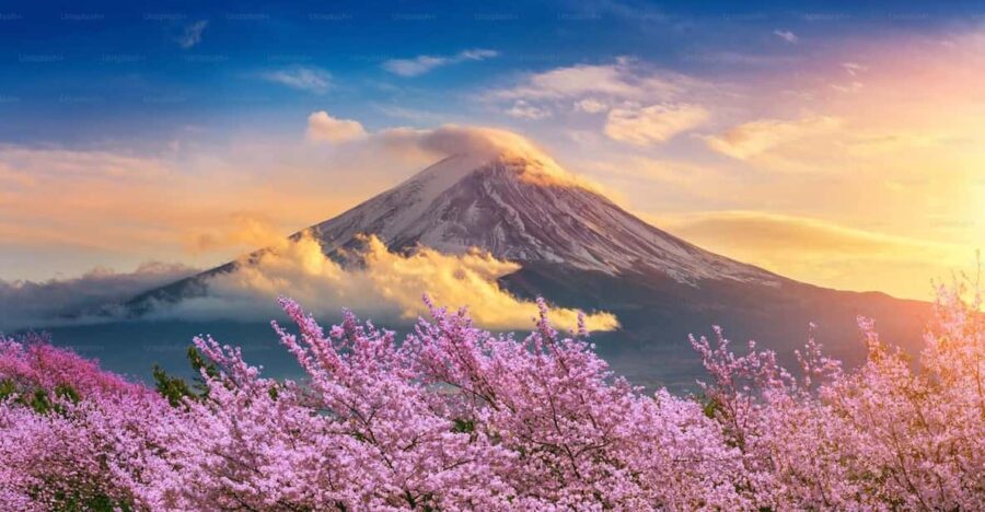 Mount Fuji Private Tour With English Speaking Driver - An In-Depth Look at the Mount Fuji Private Tour