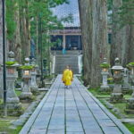 Mount Koya from Osaka: Cultural Small Group Day Tour - An Honest Look at the Mount Koya from Osaka Tour