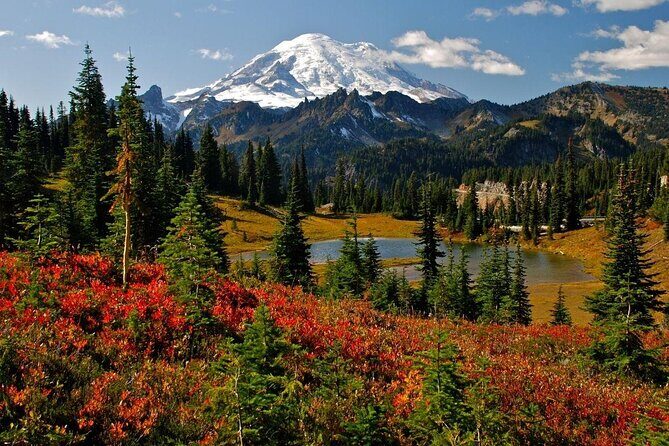 Mount Rainier Full Day Private Tour and Hike - Who Will Love This Tour?