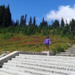 Mount Rainier Tour from Seattle - Who Will Love This Tour?
