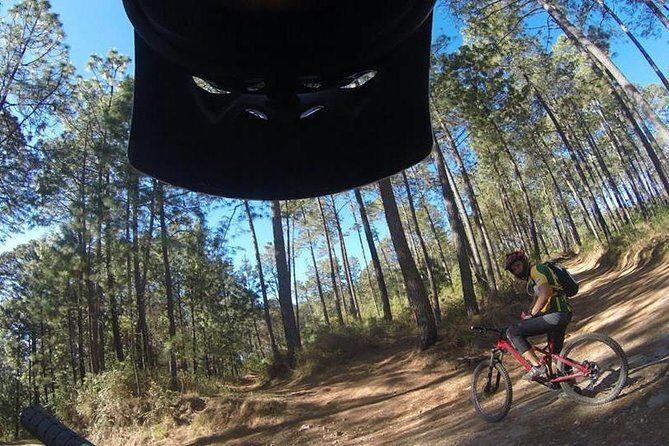 Mountain Biking Tour at La Primavera Forest - Who Is This Tour Best For?