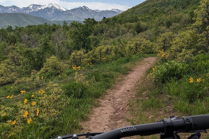 Mountain eBike Tour - Who Should Consider This Tour?