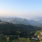 Mountain Hiking in Munnar (half day) By Munnar Info - Who Will Appreciate This Experience?