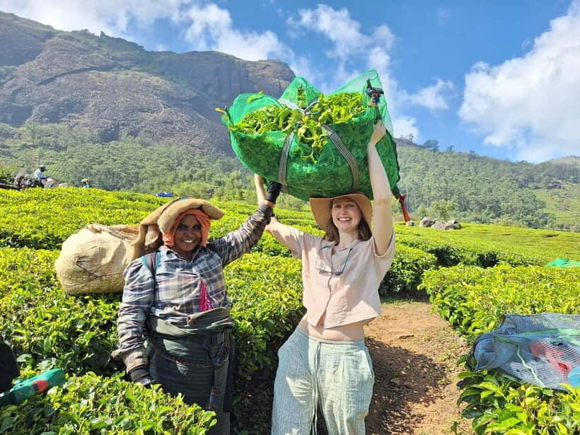 Mountain hiking in Munnar (Half day ) - Deep Dive into the Munnar Half-Day Hike