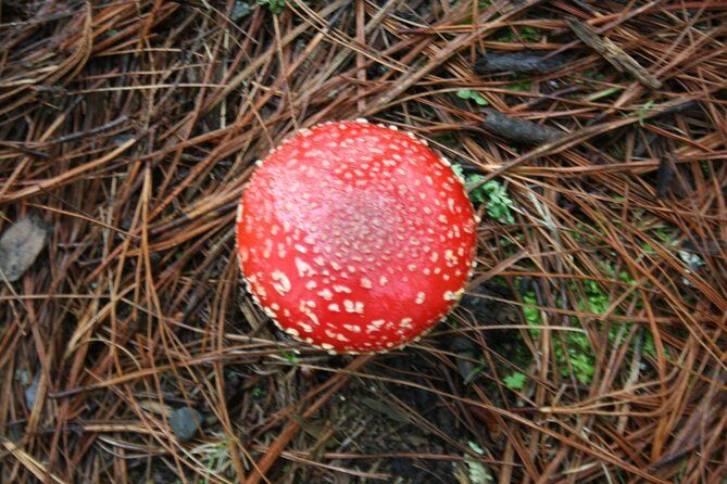 Mountaineering Malinche (4,460 meters) - Who Will Love This Tour?