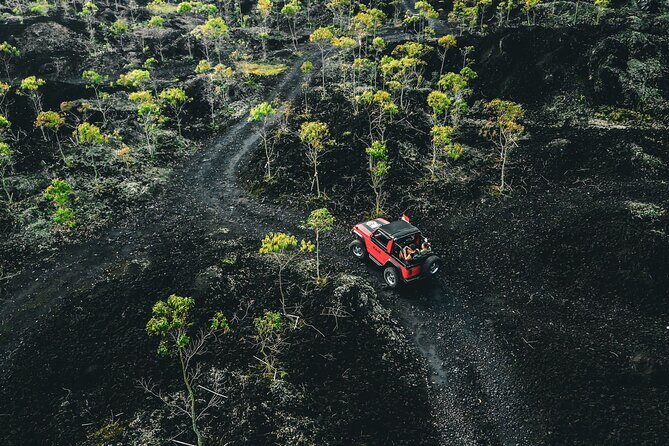 Mt Batur Sunset 4WD Jeep Tour - Who Will Love This Tour?