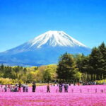 Mt. Fuji 6 Attractions Tour: Lake Kawaguchi, Oshino Hakkai - The Sum Up: Who Should Take This Tour?
