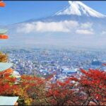 Mt.FUji and Cherry Blossom Full Day Trip with English Driver - The Sum Up: Is This Tour Worth It?