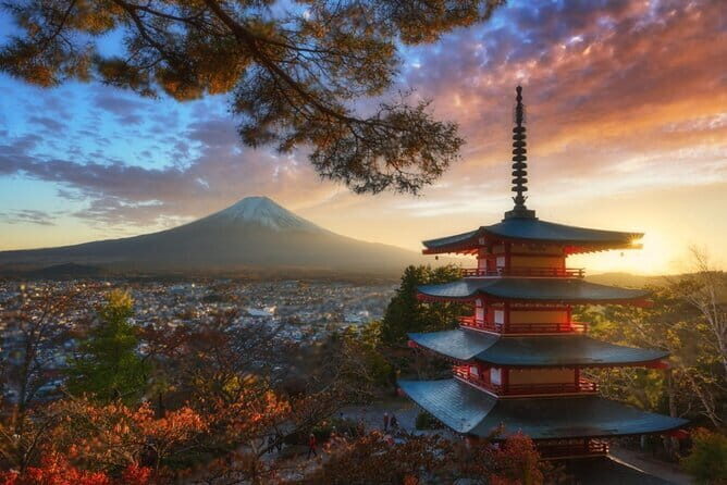 Mt Fuji and Hakone Private Day Tour - Who Is This Tour Best For?