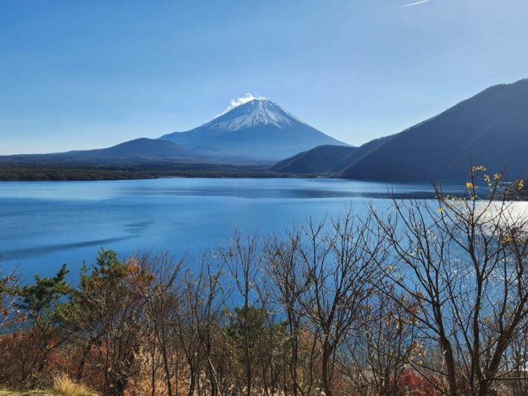 Mt Fuji and Hakone Private Tour With English Speaking Driver - The Experience: What You Can Expect