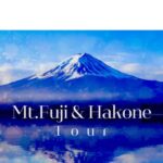 Mt.Fuji and Hakone Tour - Who Should Consider This Tour?