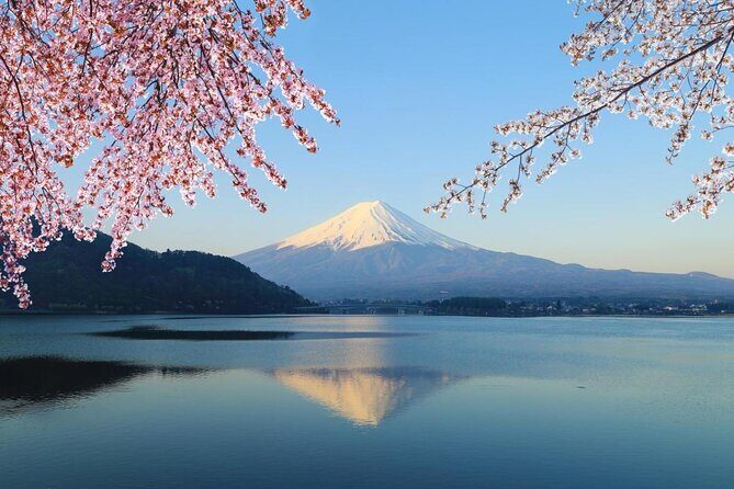Mt Fuji Area Private Guided Tours in English-Nature up close, quiet, personal - Why This Tour Works Best for You
