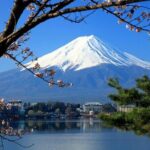 Mt. Fuji, Cherry Blossom & Shiba Sakura Pvt. Day Tour - In-Depth Look at the Tour Experience
