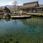 Mt FUJI Day Tour with Private Car and English Speaking Guide - What Is Included and What You Should Budget For