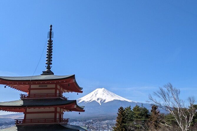 Mt. Fuji Day Trip from Tokyo with English Speaking Driver - FAQs