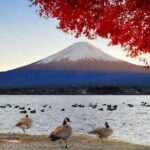 Mt Fuji Exclusive Tour with Private Car English Guide - The Full Experience: What to Expect on This Private Mt. Fuji Tour