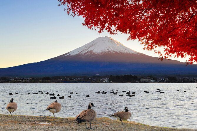 Mt Fuji Exclusive Tour with Private Car English Guide - The Full Experience: What to Expect on This Private Mt. Fuji Tour