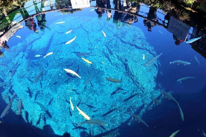 Mt Fuji Exploration Tour with Free Japanese Kusa Mochi from Tokyo - Final Thoughts