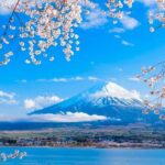 Mt. Fuji Five Lakes Area Private Tour with Licensed Guide(Kawaguchiko area Dep) - Authenticity and Personal Experience: What Travelers Say