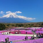 Mt. Fuji, Hakone Full-Day Private Tour with English Driver Guide - FAQ