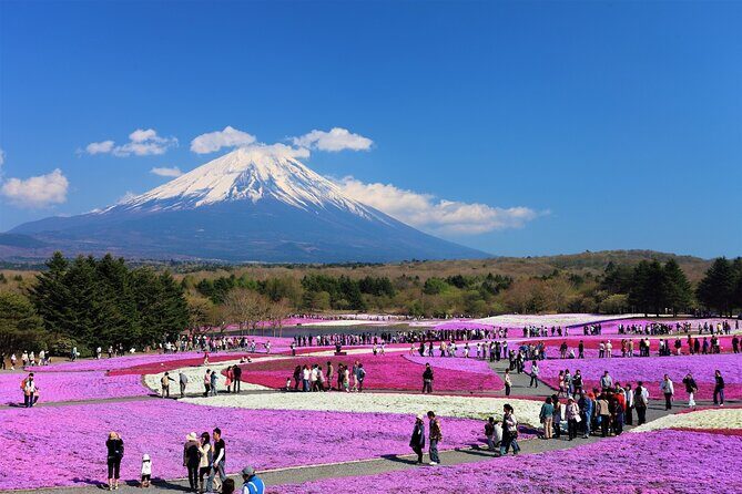 Mt. Fuji, Hakone Full-Day Private Tour with English Driver Guide - FAQ