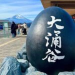 Mt. Fuji Hakone Ropeway and Oshino Hakkai Day Tour - Practicalities and Tips