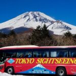 Mt. Fuji & Hakone Tour Tokyo hotel pick-up by Grayline - Key Points