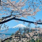 Mt. Fuji & Hakone VIP One Day Tour with pickup and drop off - What’s Included, What’s Not