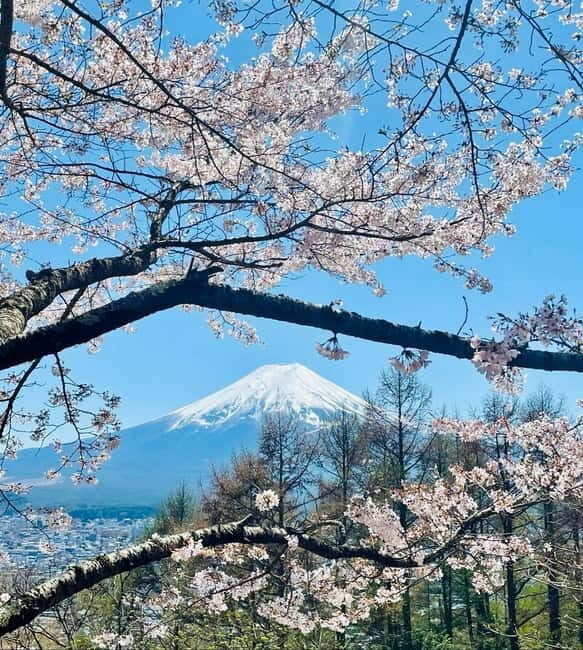 Mt. Fuji & Hakone VIP One Day Tour with pickup and drop off - What’s Included, What’s Not