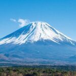 Mt.Fuji, Oishi Park & Arakurayama Sengen Park Bus Tour From Tokyo - A Deep Dive into the Tour Experience