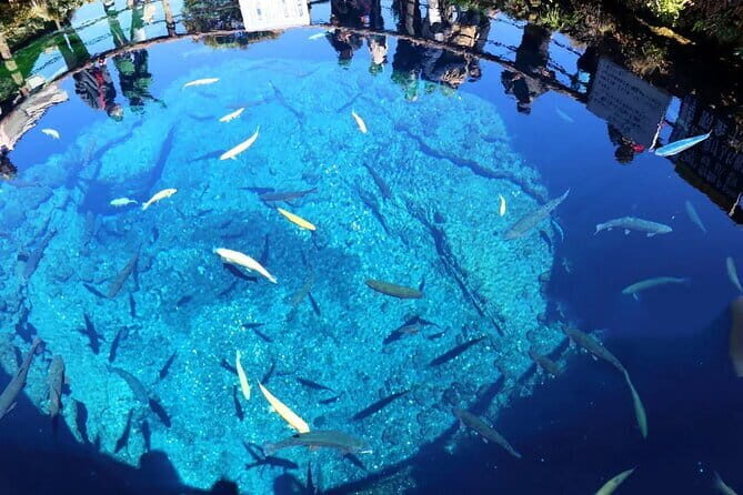 Mt Fuji Oshino Hakkai Gotemba Hot Spring tour from Tokyo/Shinjuku - An In-Depth Look at the Tour Experience