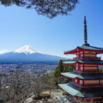 Mt. Fuji Private Chartered Tour with Nature & Wasabi Farm - What Travelers Are Saying: Authentic Experiences and Personal Touches